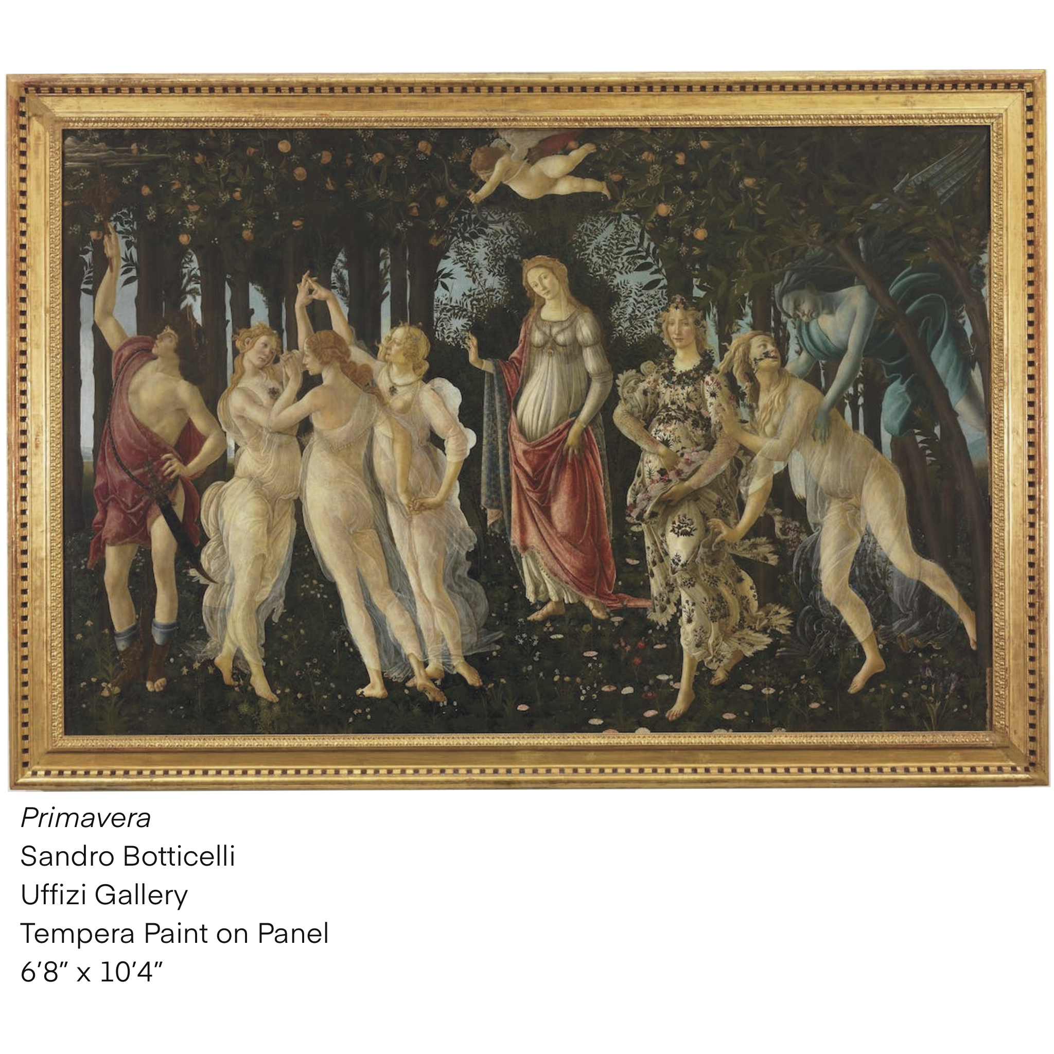 Primavera by Sandro Botecelli